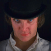 Stephenneula